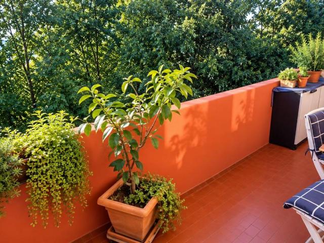 Appartamento in vendita a Fornase, Spinea