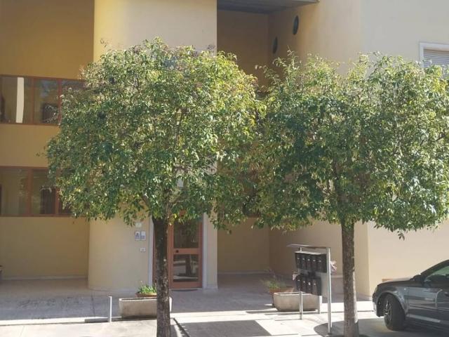 Appartamento in vendita a Marche, Ascoli Piceno