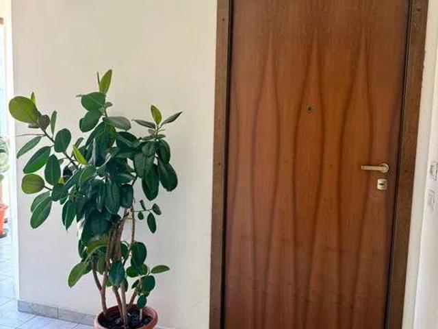 Appartamento in vendita a San Venanzo, Spoleto
