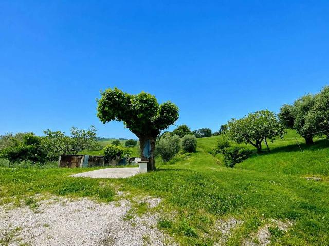 Appartamento in vendita a Marche, Ancona