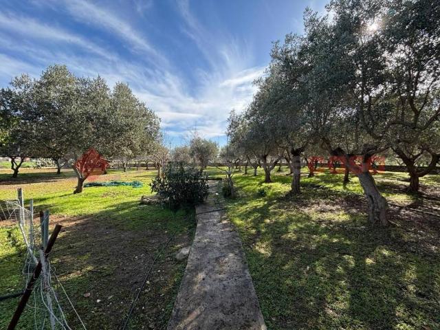 Villa Indipendente in vendita a Puglia, Taranto
