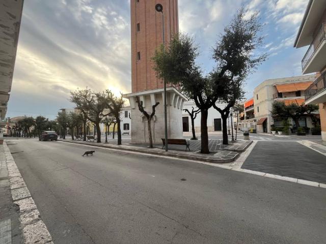 Appartamento in vendita a Stornara, Foggia