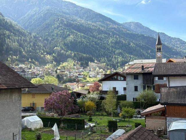 Appartamento in vendita a Comunità delle Giudicarie, Strembo