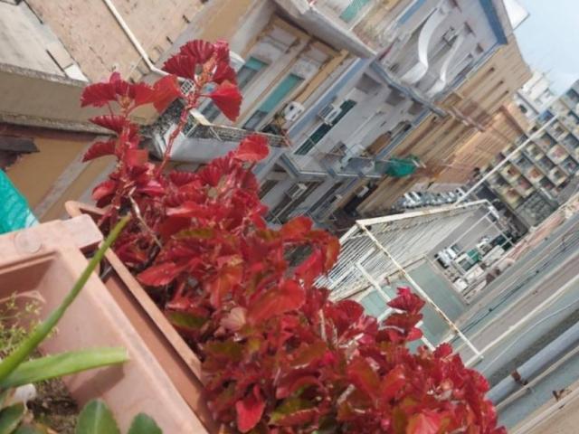 Appartamento in vendita a Puglia, Taranto