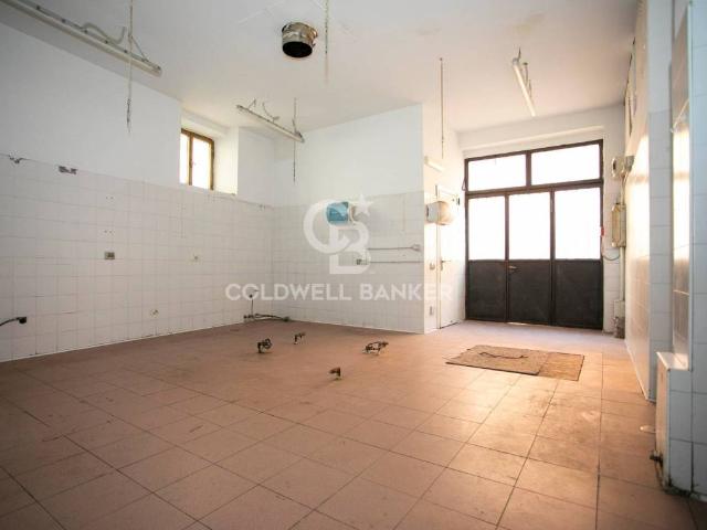 Appartamento in vendita a Tarquinia, Lazio