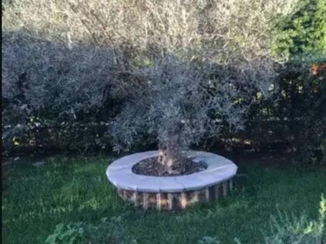 Appartamento in vendita a Teano, Campania