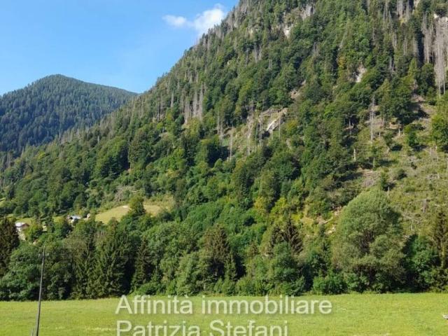 Appartamento in vendita a Comunità Valsugana e Tesino, Telve Di Sopra