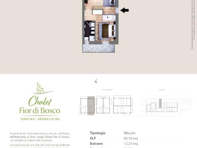Appartamento in vendita a Comunità montana della valle Camonica, Temù