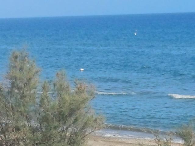 Appartamento in vendita a Porto Badino, Terracina