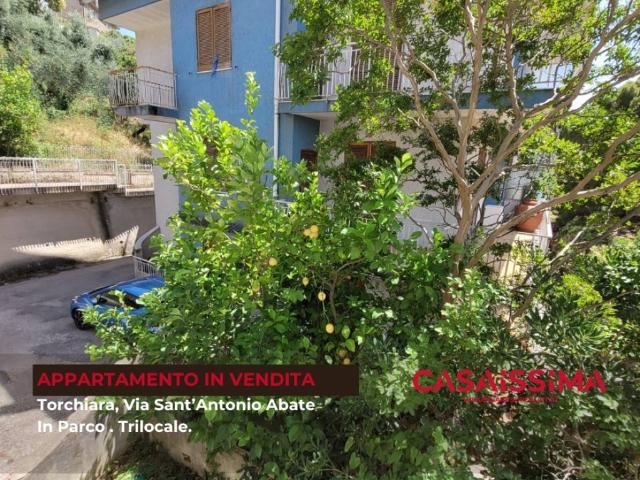 Appartamento in vendita a Torchiara, Campania