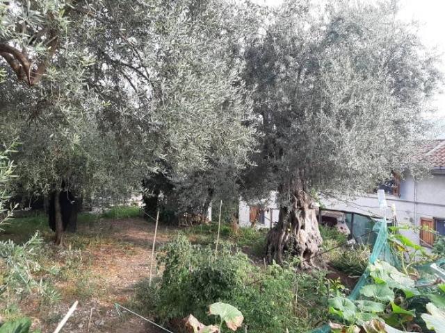 Appartamento in vendita a Torchiara, Campania
