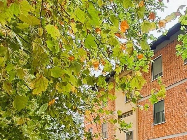 Appartamento in vendita a Falchera, Torino