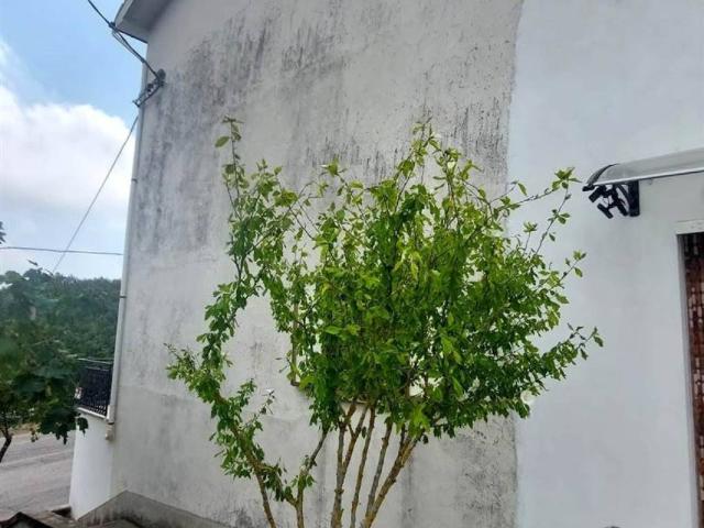 Villa Indipendente in vendita a Tornareccio, Abruzzo
