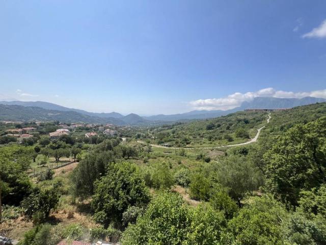 Appartamento in vendita a Torre Orsaia, Campania