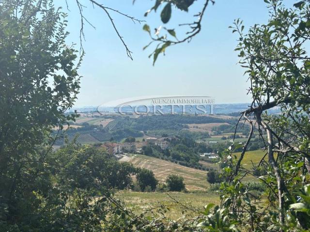 Appartamento in vendita a Trecastelli, Marche