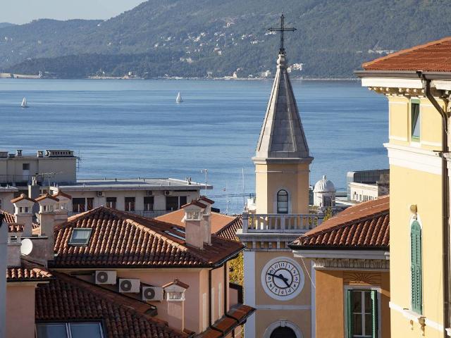 Appartamento in vendita a Città Nuova-Barriera Nuova-San Vito-Città Vecchia, Villa Opicina