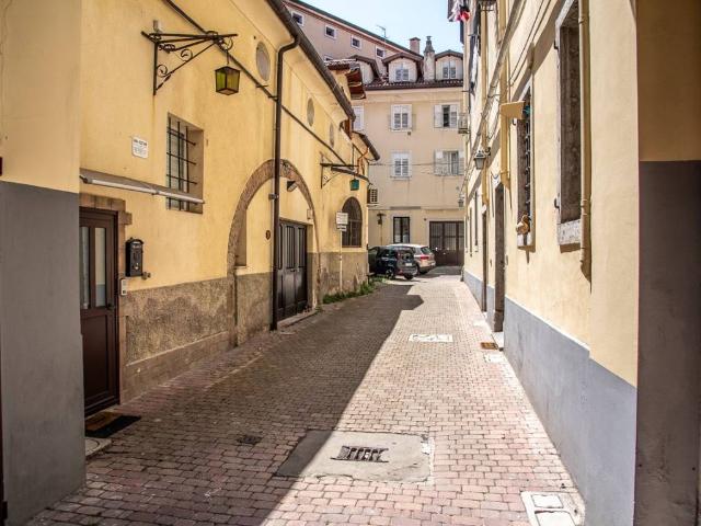 Appartamento in vendita a Città Nuova-Barriera Nuova-San Vito-Città Vecchia, Villa Opicina