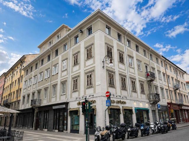 Appartamento in vendita a Città Nuova-Barriera Nuova-San Vito-Città Vecchia, Villa Opicina