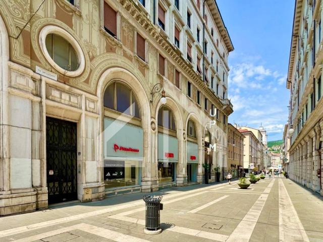 Appartamento in vendita a Città Nuova-Barriera Nuova-San Vito-Città Vecchia, Villa Opicina