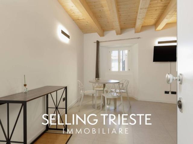 Appartamento in vendita a Città Nuova-Barriera Nuova-San Vito-Città Vecchia, Villa Opicina