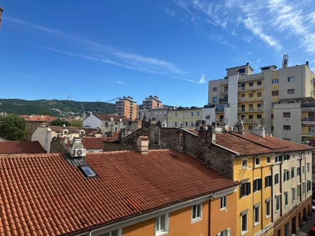 Appartamento in vendita a Barriera Vecchia-San Giacomo, Villa Opicina