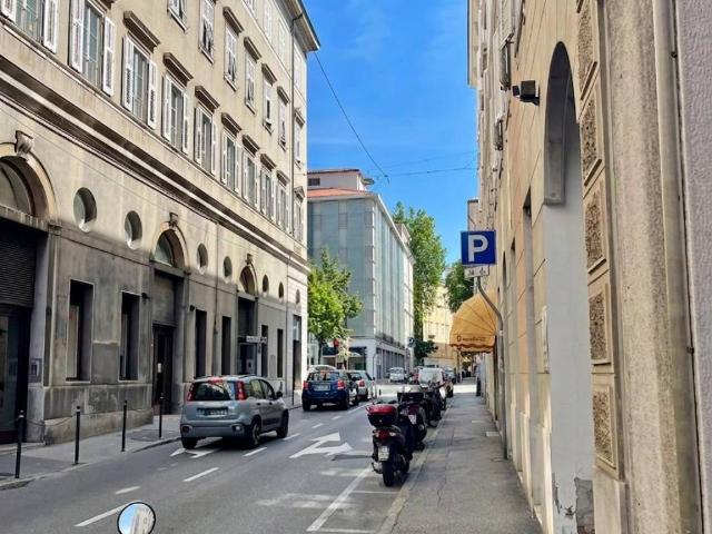 Appartamento in vendita a Città Nuova-Barriera Nuova-San Vito-Città Vecchia, Villa Opicina