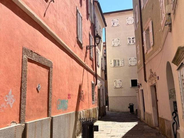 Appartamento in vendita a Città Nuova-Barriera Nuova-San Vito-Città Vecchia, Villa Opicina
