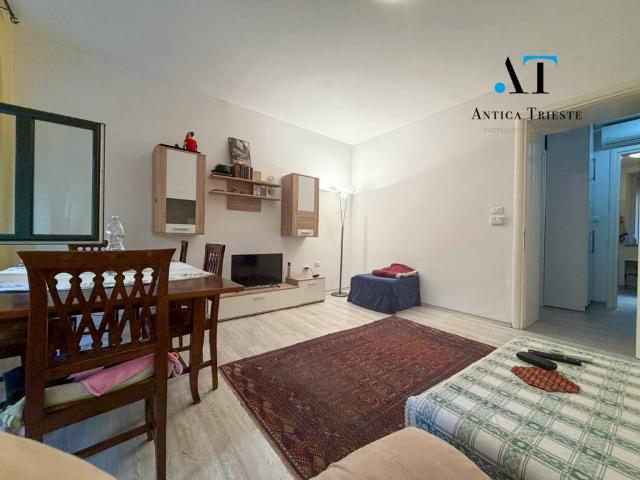 Appartamento in vendita a Barriera Vecchia-San Giacomo, Villa Opicina