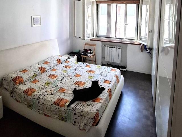 Appartamento in vendita a Barriera Vecchia, Trieste