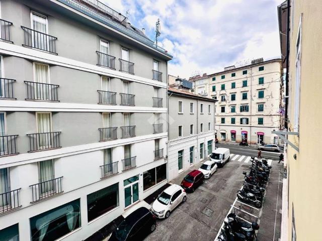 Appartamento in vendita a Barriera Vecchia-San Giacomo, Villa Opicina