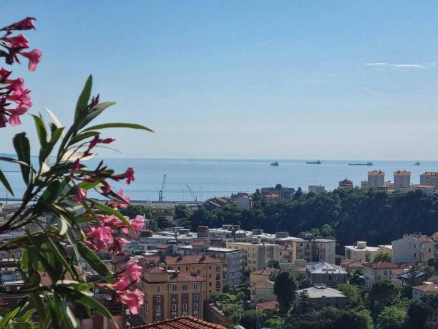 Appartamento in vendita a Opicina / Opčine, Villa Opicina