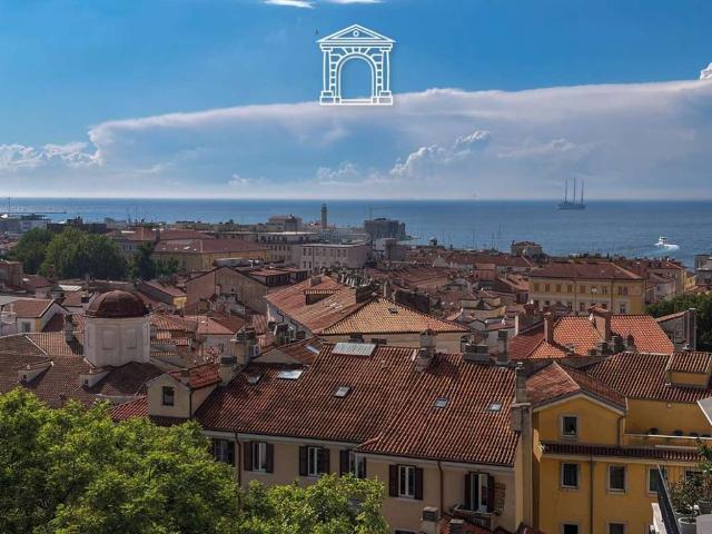 Appartamento in vendita a Città Nuova-Barriera Nuova-San Vito-Città Vecchia, Villa Opicina