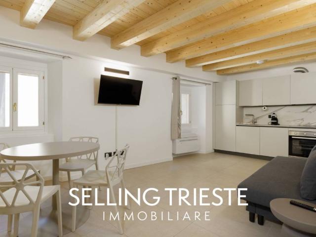 Appartamento in vendita a Città Nuova-Barriera Nuova-San Vito-Città Vecchia, Villa Opicina