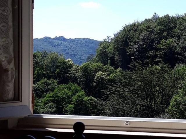 Appartamento in vendita a Urbe, Liguria