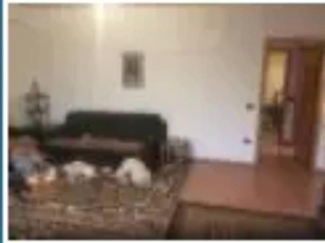 Appartamento in vendita a Marche, Pesaro E Urbino