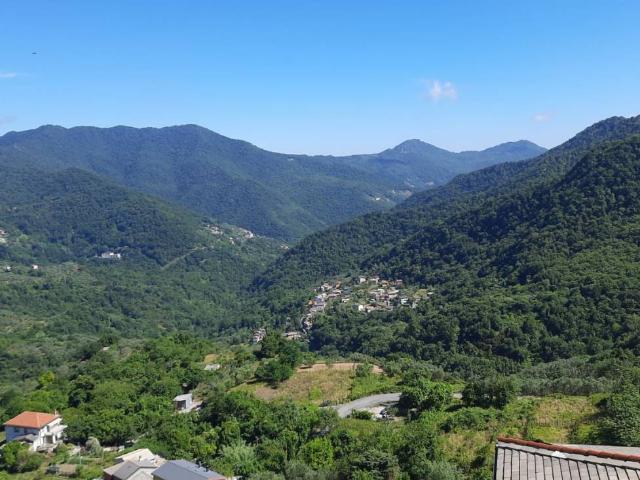 Appartamento in vendita a Calcinara, Tribogna