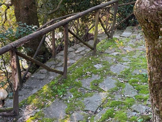 Rustico in vendita a Vaglia, Toscana