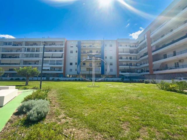 Appartamento in vendita a Valenzano San Lorenzo, Puglia