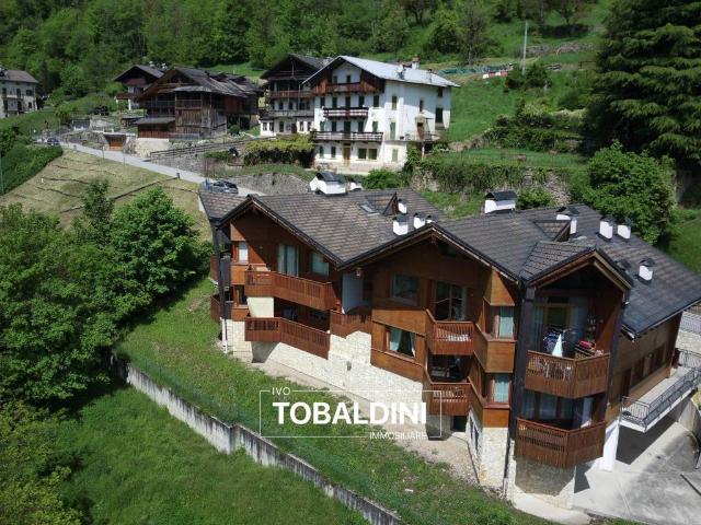 Appartamento in vendita a Valle Di Cadore, Veneto