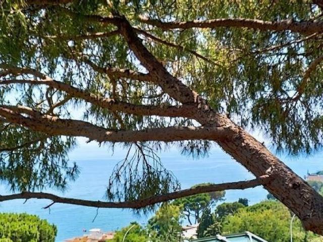 Appartamento in vendita a Parasio, Varazze
