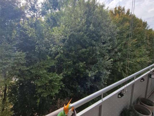Appartamento in vendita a Cipressina, Venezia