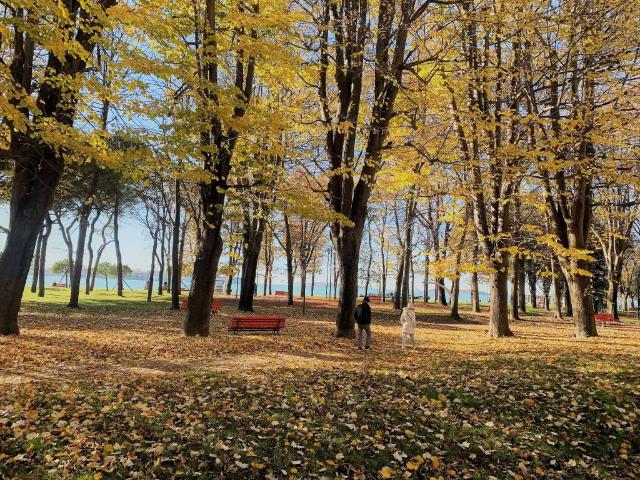 Appartamento in vendita a Sant'Elena, Venezia