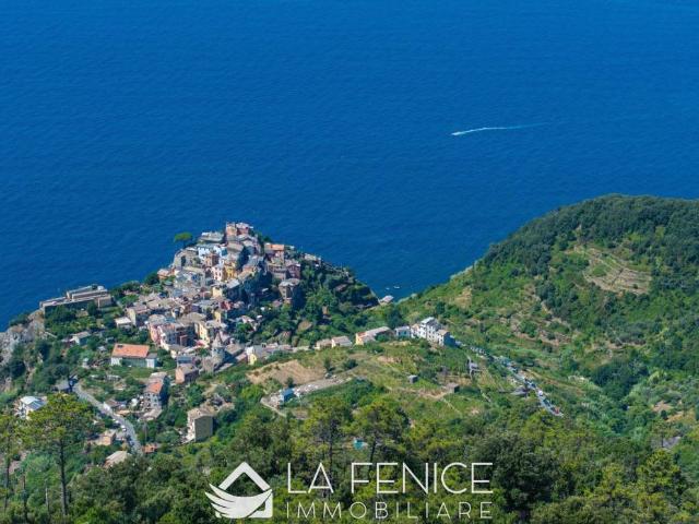 Appartamento in vendita a Case Pianca, Vernazza