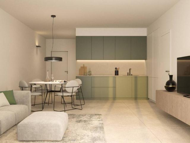 Appartamento in vendita a Nord-Ovest, Brenzone