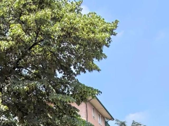 Appartamento in vendita a Porto San Pancrazio, Verona