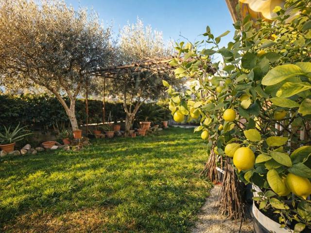 Appartamento in vendita a Unione di comuni Valmarecchia, Verucchio