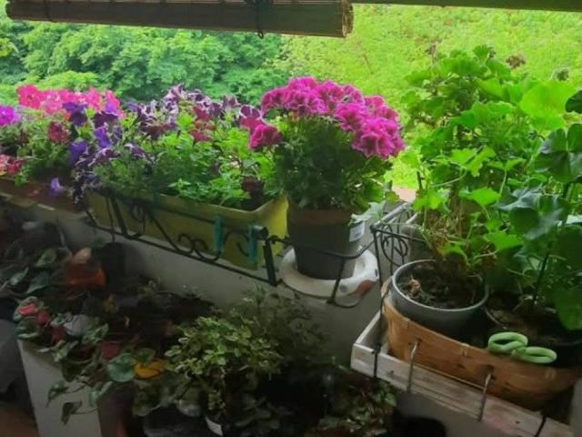 Appartamento in vendita a Vicenza