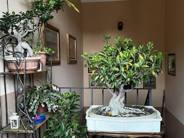 Appartamento in vendita a Vigevano, Lombardia