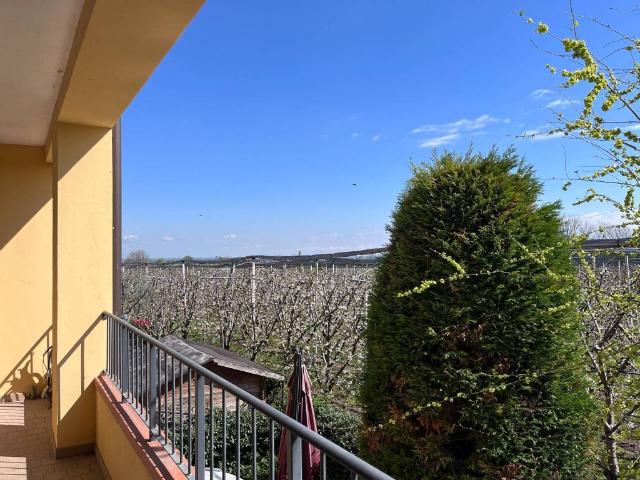 Appartamento in vendita a Unione di comuni Terre di Castelli, Vignola