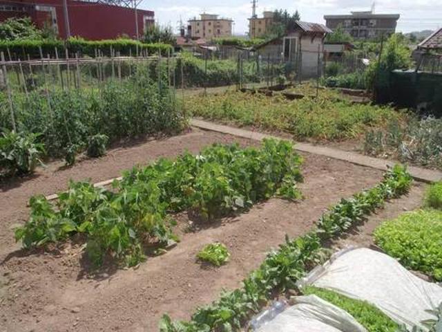 Appartamento in vendita a Piemonte, Alessandria